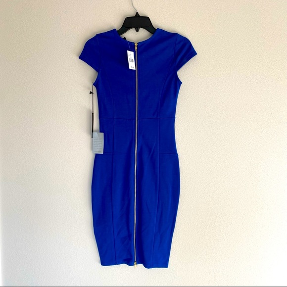 NWT Felicity &Coco Ward Seamed Pencil Dress ZIPPER - Picture 2 of 8